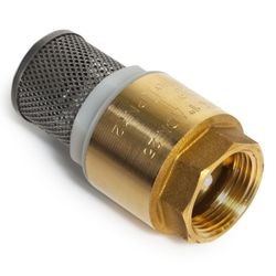 BRASS FOOT VALVE 2½'' + SS FILTER