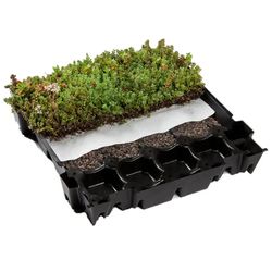 Green and Blue Roofs