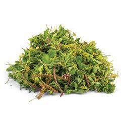 GREENFIX SEDUMSTEKKEN 1KG